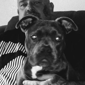 Meet your Posher, Justin